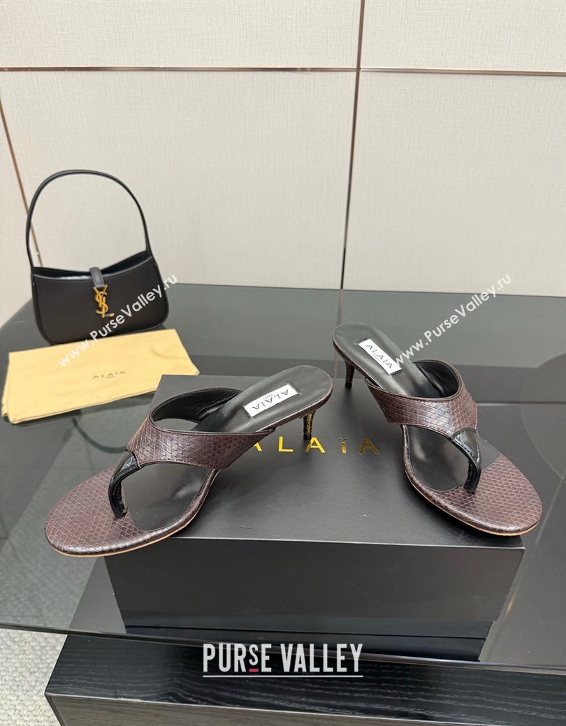 Alaia Heel Thong Slides Sandal 5.5cm in Snakeskin Like Brown 2025 AL082701 (MD-250827082)