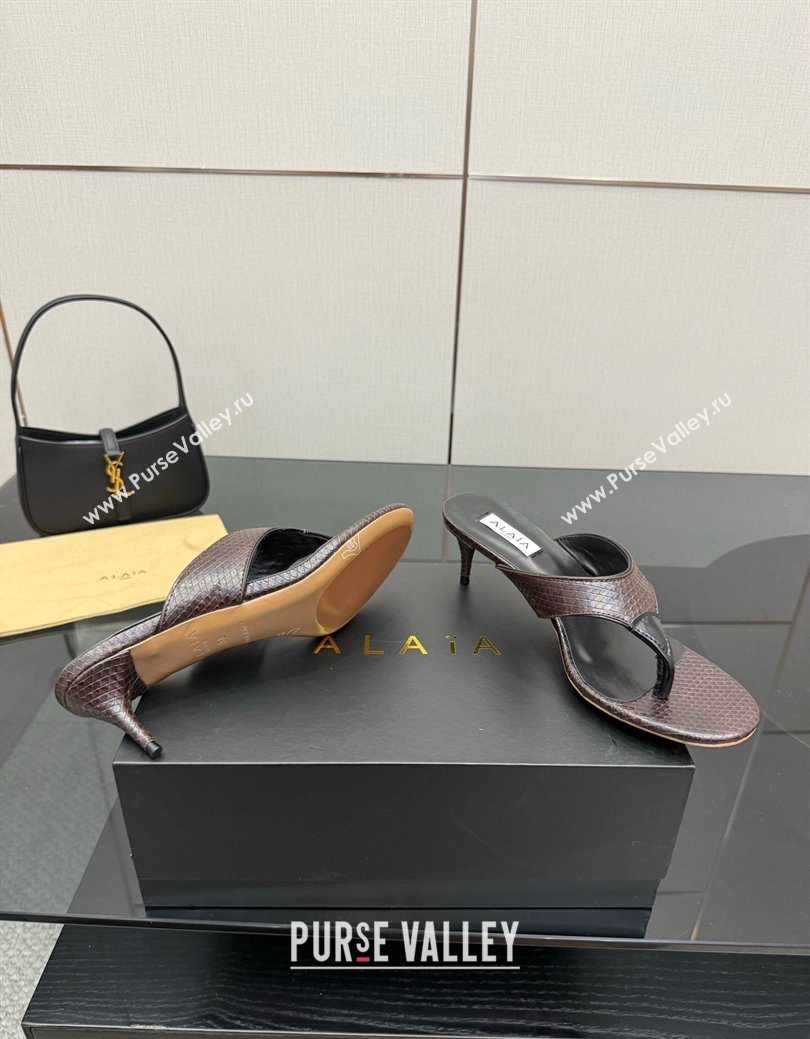 Alaia Heel Thong Slides Sandal 5.5cm in Snakeskin Like Brown 2025 AL082701 (MD-250827082)