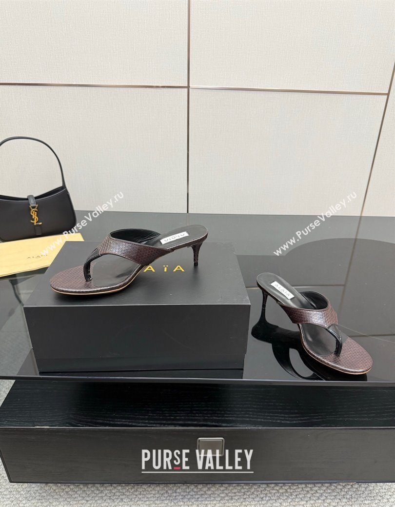 Alaia Heel Thong Slides Sandal 5.5cm in Snakeskin Like Brown 2025 AL082701 (MD-250827082)