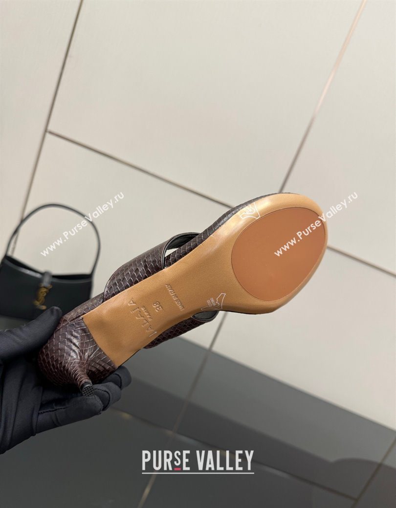 Alaia Heel Thong Slides Sandal 5.5cm in Snakeskin Like Brown 2025 AL082701 (MD-250827082)