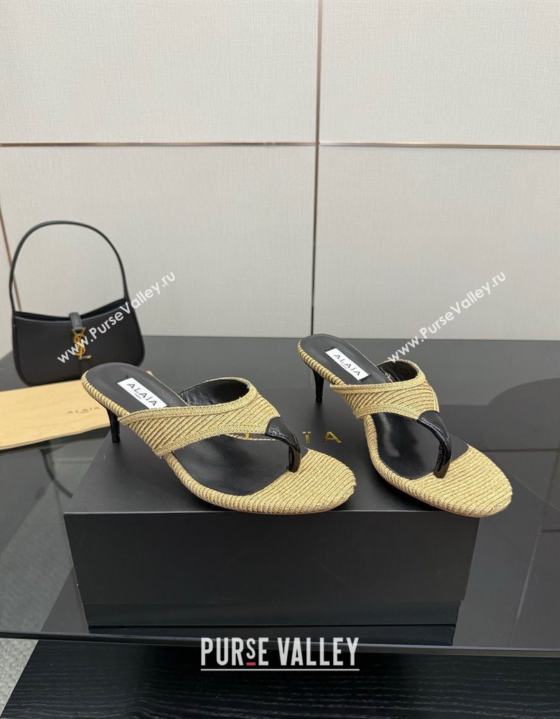 Alaia Heel Thong Slides Sandal 5.5cm in Woven Beige 2025 AL082701 (MD-250827079)