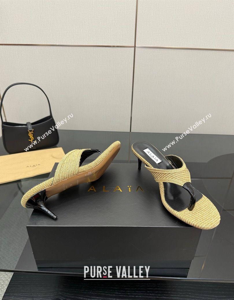 Alaia Heel Thong Slides Sandal 5.5cm in Woven Beige 2025 AL082701 (MD-250827079)