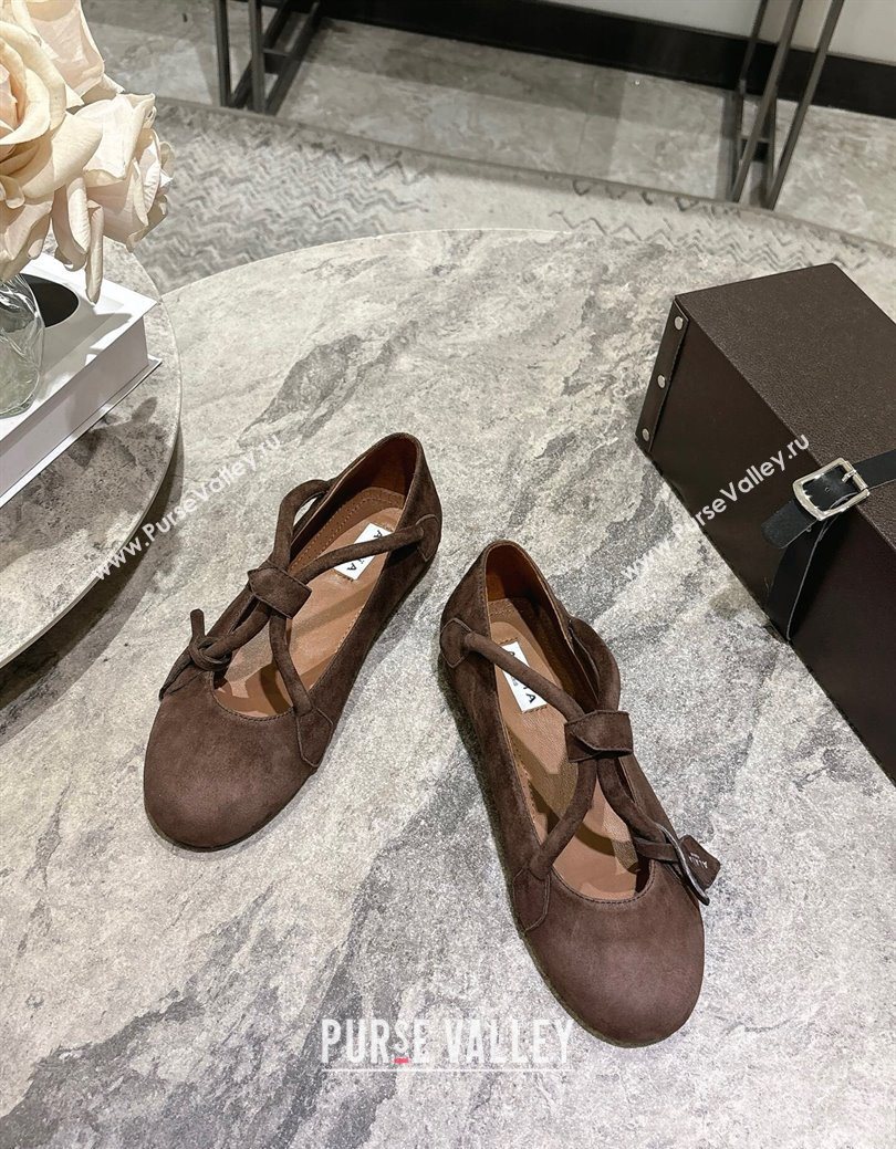 Alaia Le Teckel Ballet Flats in Suede with Cross Strap Brown 2025 AL102907 (KL-251029129)