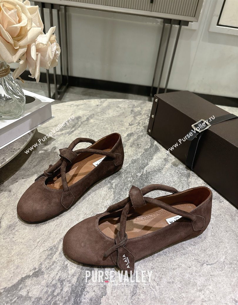 Alaia Le Teckel Ballet Flats in Suede with Cross Strap Brown 2025 AL102907 (KL-251029129)
