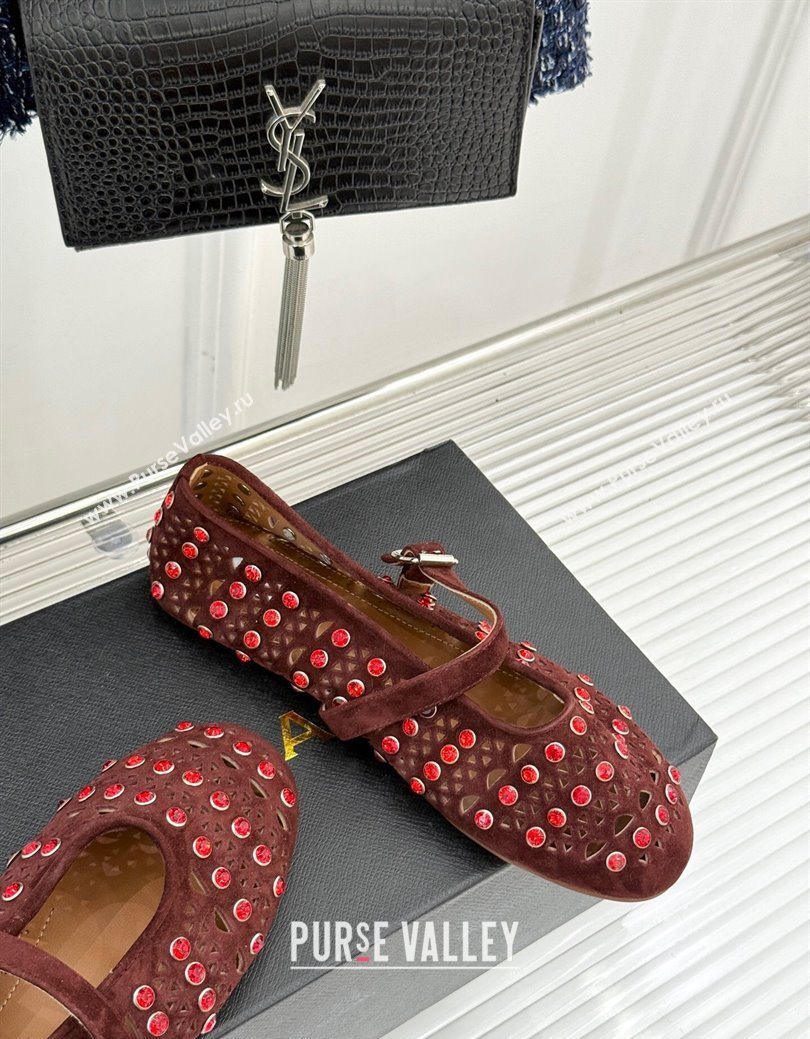 Alaia Ballet Flats in Openwork Suede with Eyelet with Strass Dark Brown 2025 AL102910 (MD-251029146)