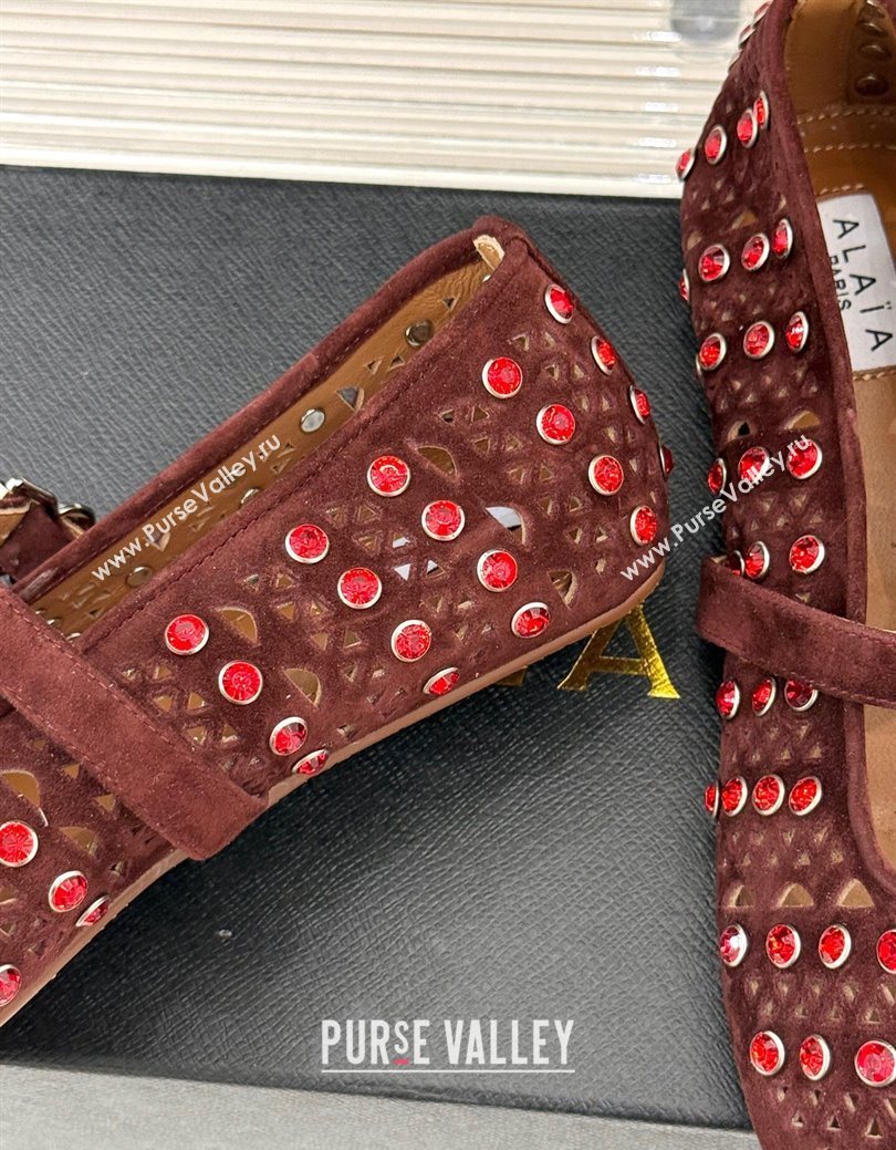 Alaia Ballet Flats in Openwork Suede with Eyelet with Strass Dark Brown 2025 AL102910 (MD-251029146)