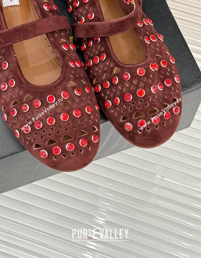 Alaia Ballet Flats in Openwork Suede with Eyelet with Strass Dark Brown 2025 AL102910 (MD-251029146)
