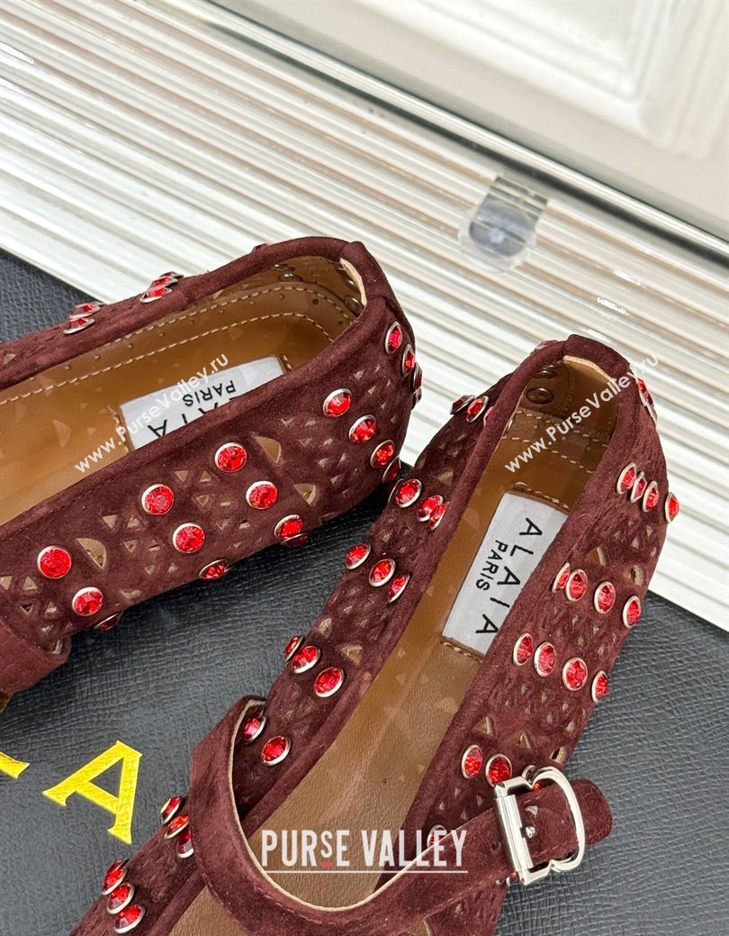 Alaia Ballet Flats in Openwork Suede with Eyelet with Strass Dark Brown 2025 AL102910 (MD-251029146)
