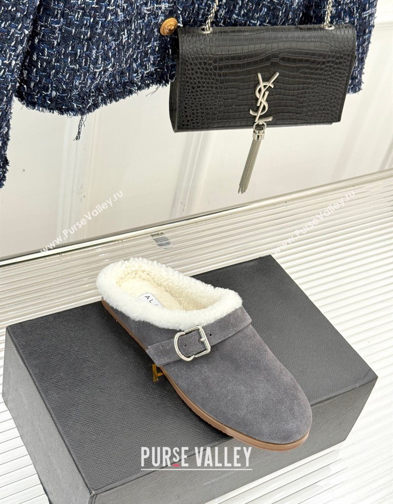 Alaia Suede and Wool Flat Mules with Buckle Dark Grey 2025 AL102912 (MD-251029154)