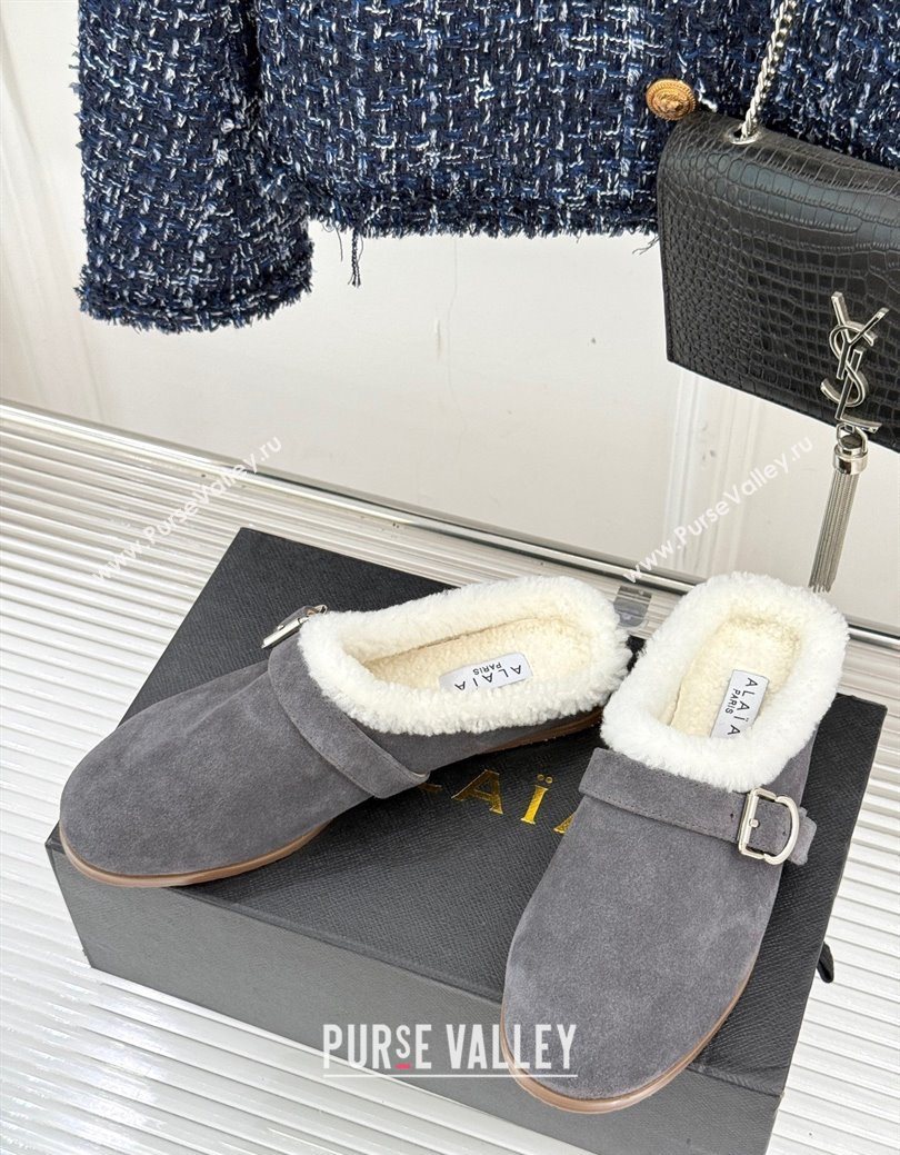 Alaia Suede and Wool Flat Mules with Buckle Dark Grey 2025 AL102912 (MD-251029154)