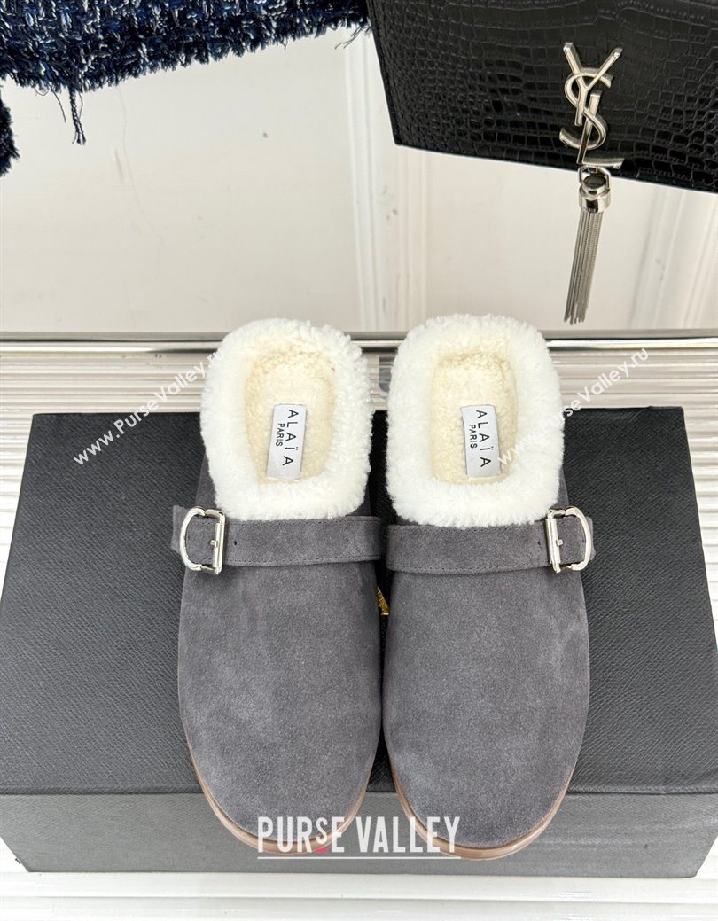 Alaia Suede and Wool Flat Mules with Buckle Dark Grey 2025 AL102912 (MD-251029154)