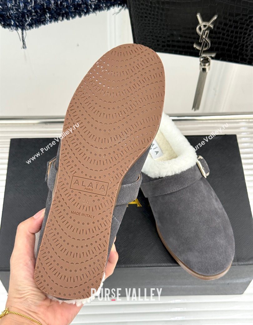 Alaia Suede and Wool Flat Mules with Buckle Dark Grey 2025 AL102912 (MD-251029154)