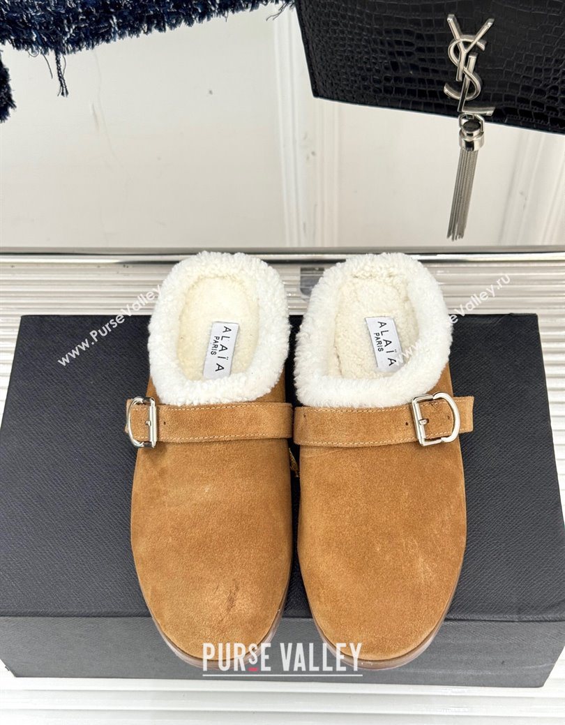 Alaia Suede and Wool Flat Mules with Buckle Light Brown 2025 AL102912 (MD-251029155)