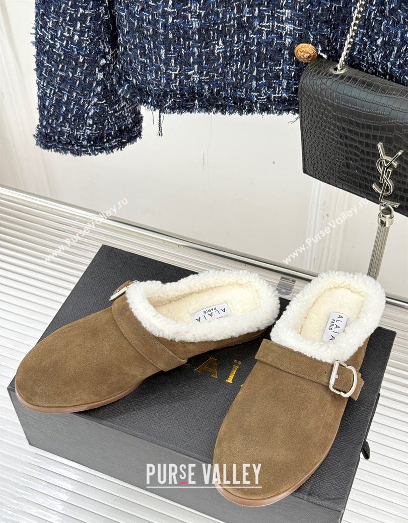 Alaia Suede and Wool Flat Mules with Buckle Taupe 2025 AL102912 (MD-251029157)
