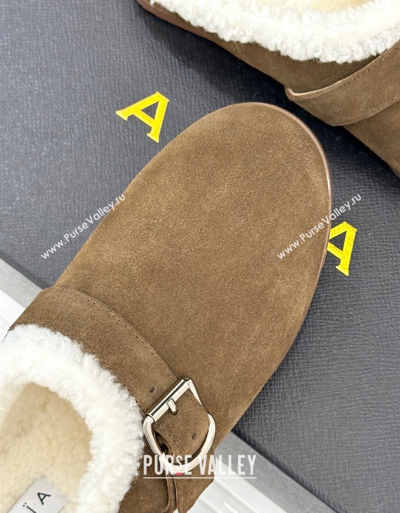 Alaia Suede and Wool Flat Mules with Buckle Taupe 2025 AL102912 (MD-251029157)