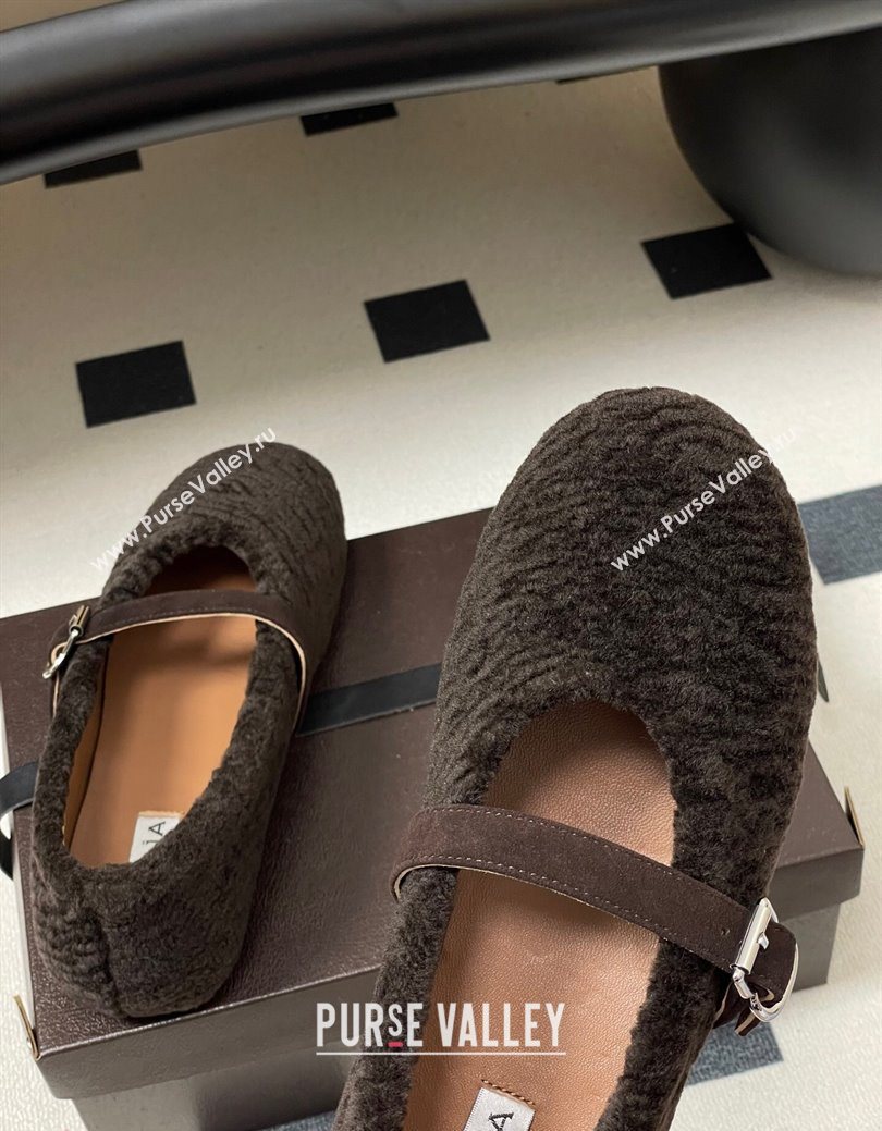 Alaia Ballet Flats in Shearling Wool Dark Brown 2025 AL102911 (MD-251029152)