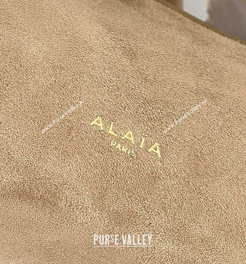 Alaia Le Tecket Medium Long Shoulder bag in Suede Beige 2026 8815M (CL-260409123)