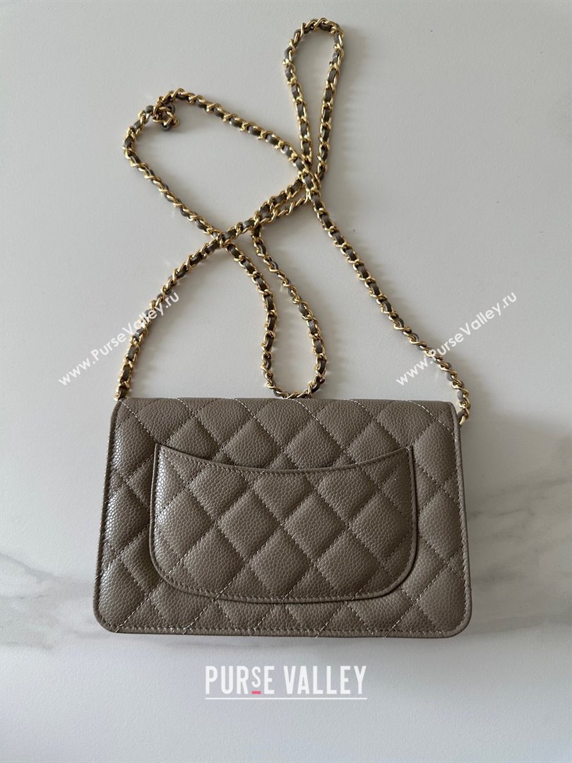 Chanel Grained Shiny Calfskin Classic Wallet on Chain WOC Grey/Gold AP4241 (yezi-250703097)