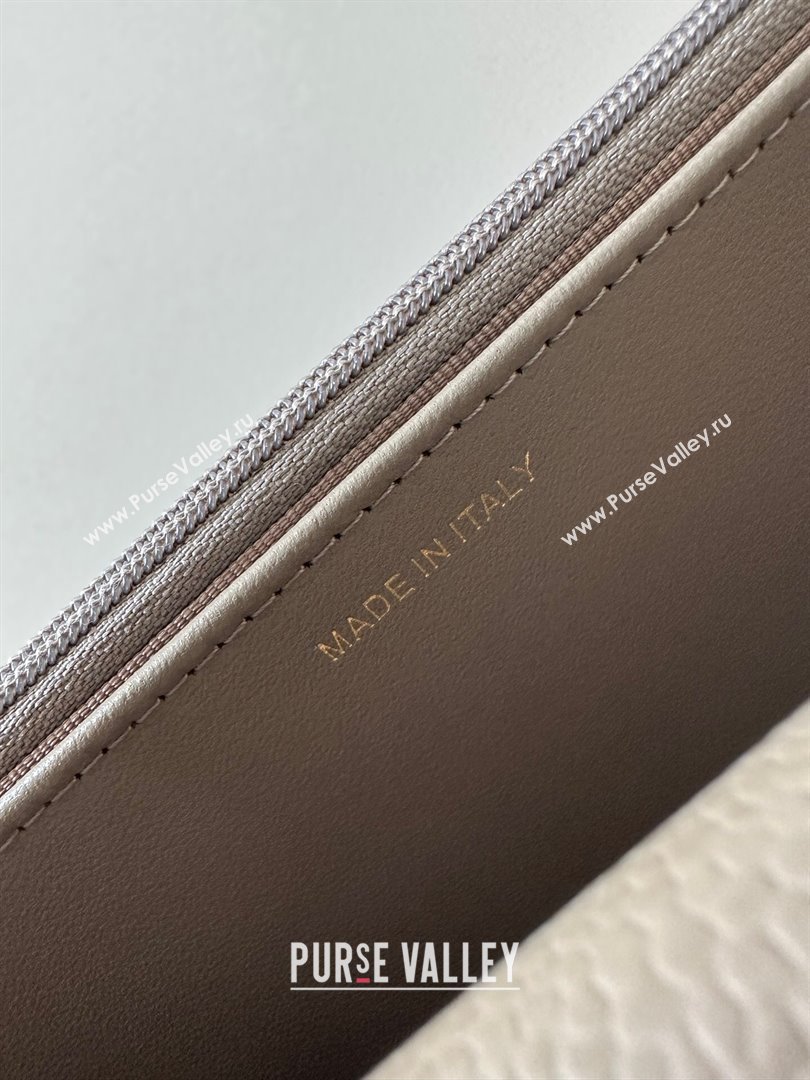 Chanel Grained Shiny Calfskin Classic Wallet on Chain WOC Grey/Gold AP4241 (yezi-250703097)