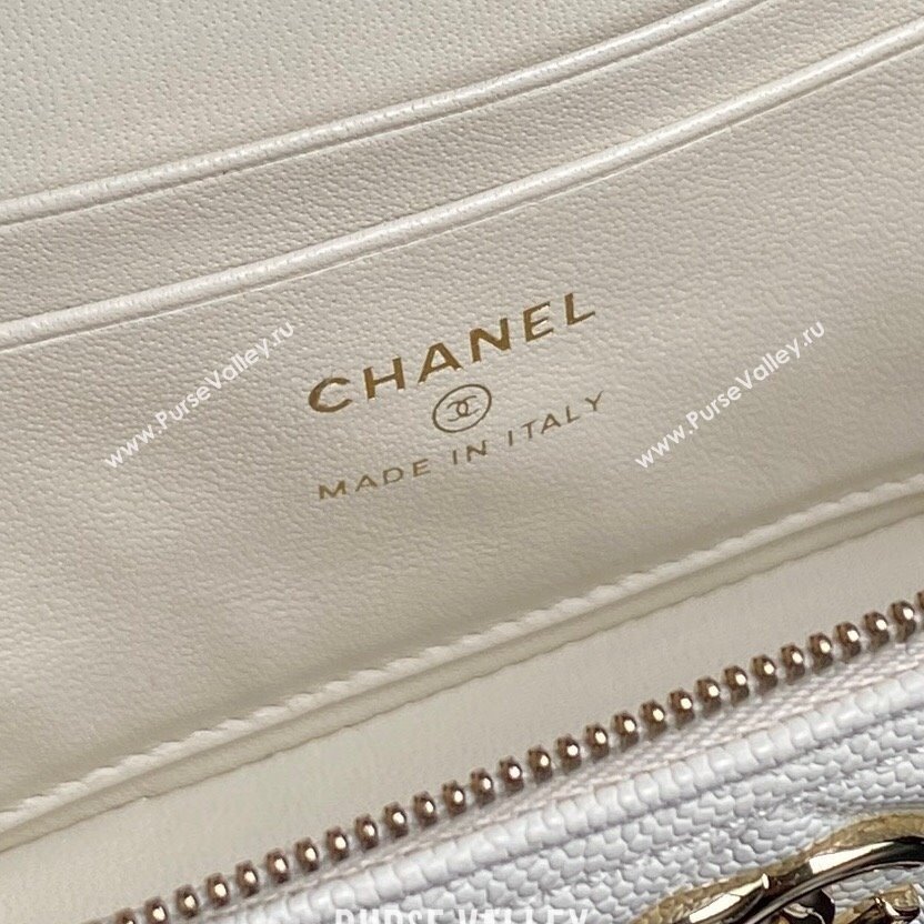 Chanel Grained Calfskin Long Vanity Case bag with Chain AP4407 White 2024 (yezi-241206032)