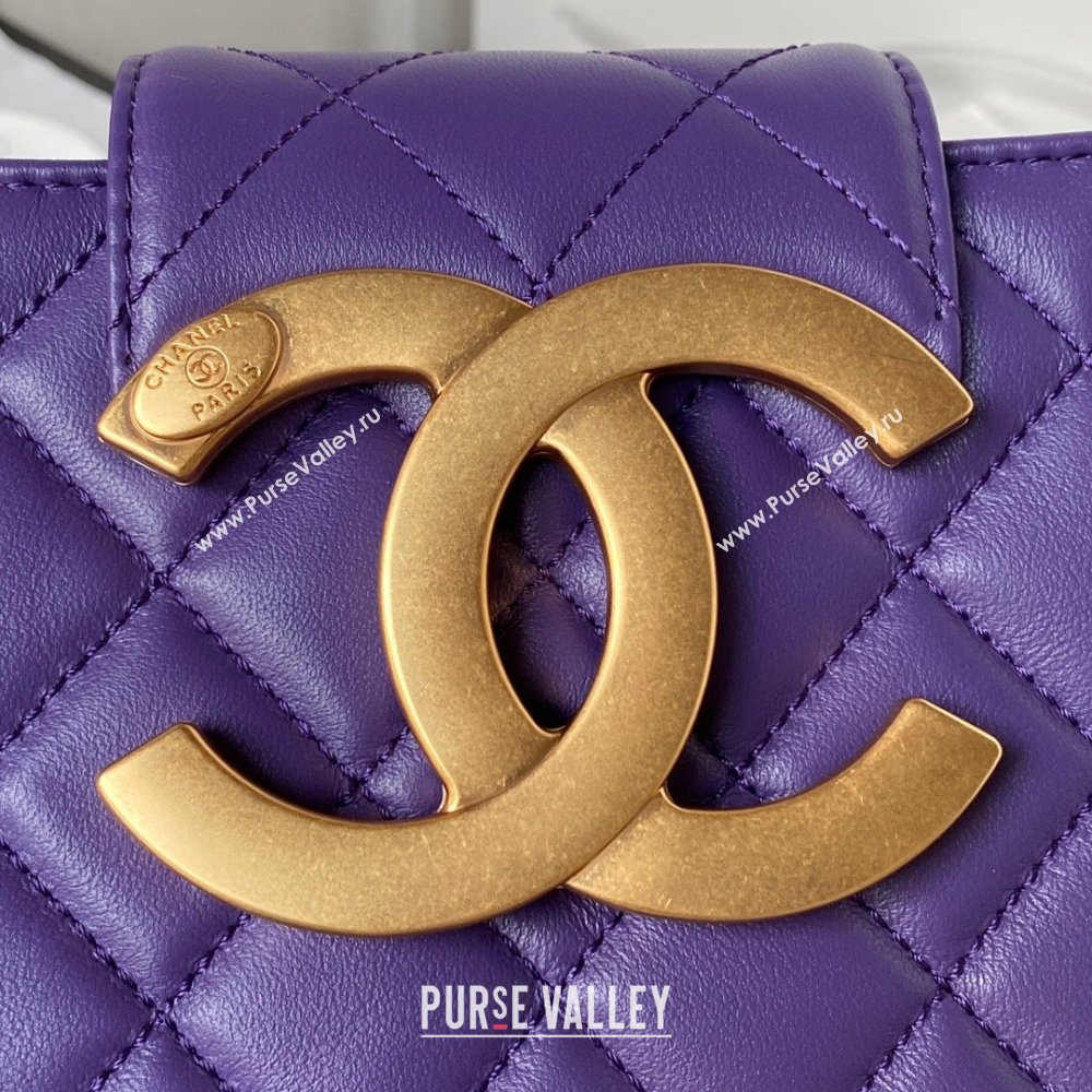 Chanel Bucket Lambskin Bag AS4596 Purple 2023 (yezi-231127032)