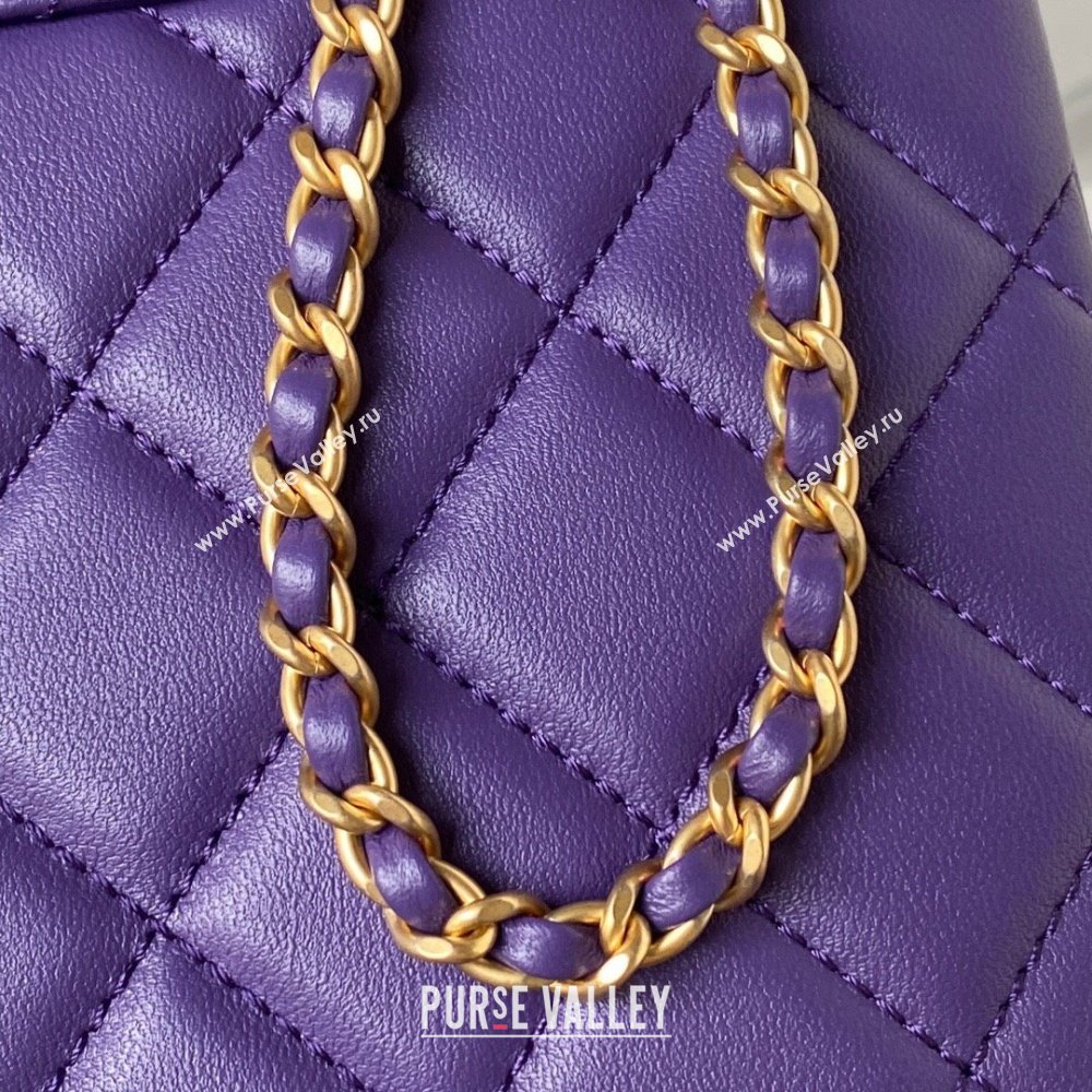 Chanel Bucket Lambskin Bag AS4596 Purple 2023 (yezi-231127032)