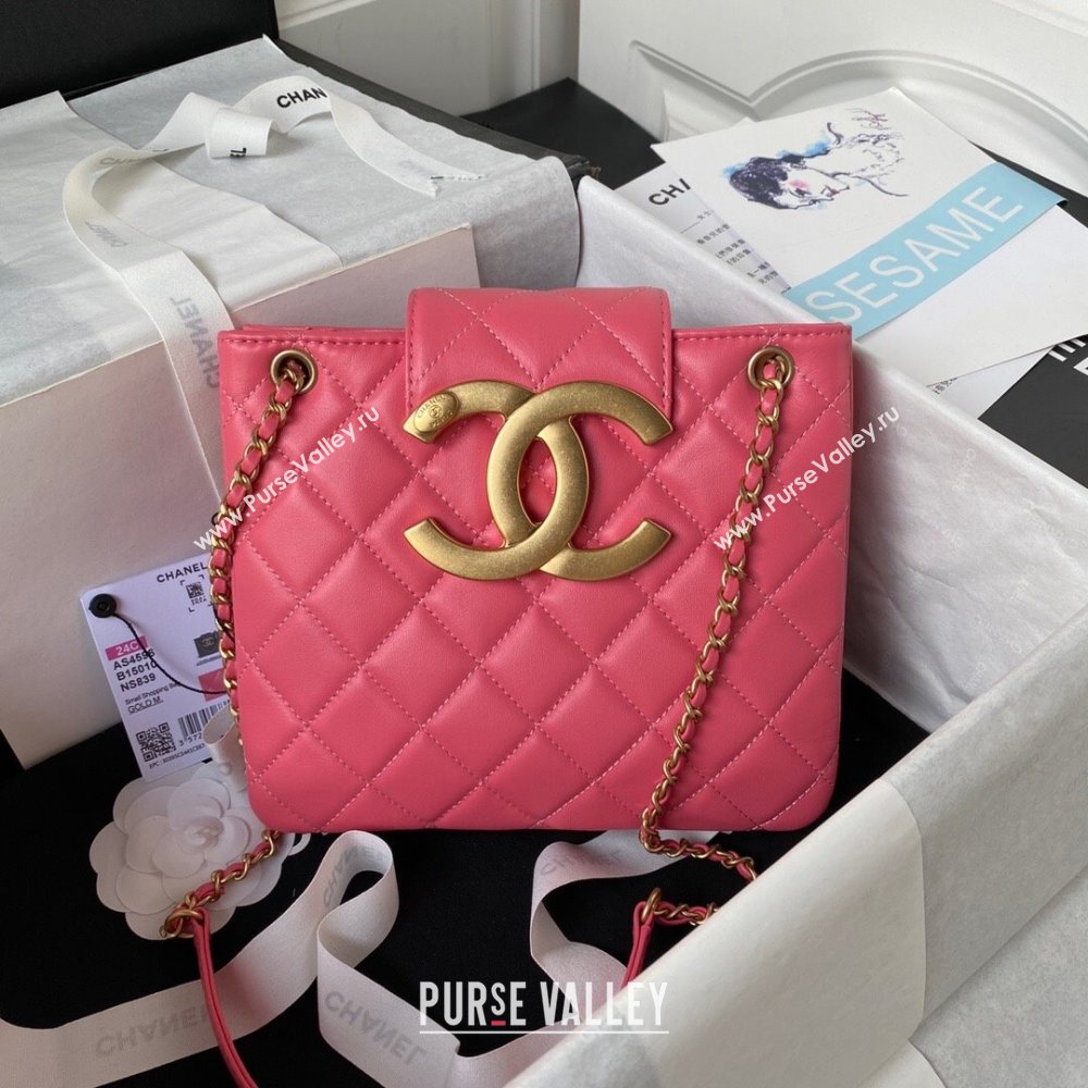 Chanel Bucket Lambskin Bag AS4596 Pink 2023 (yezi-231127031)