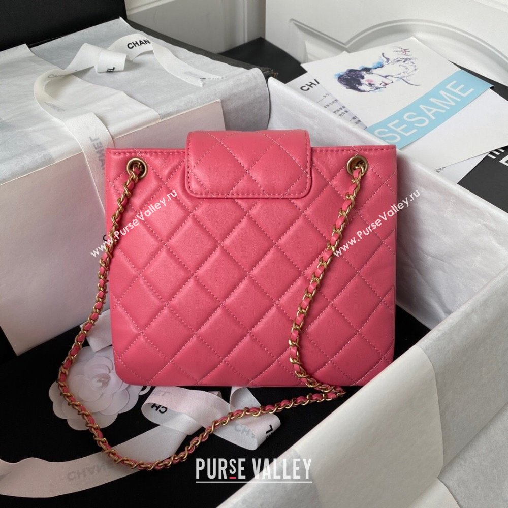 Chanel Bucket Lambskin Bag AS4596 Pink 2023 (yezi-231127031)