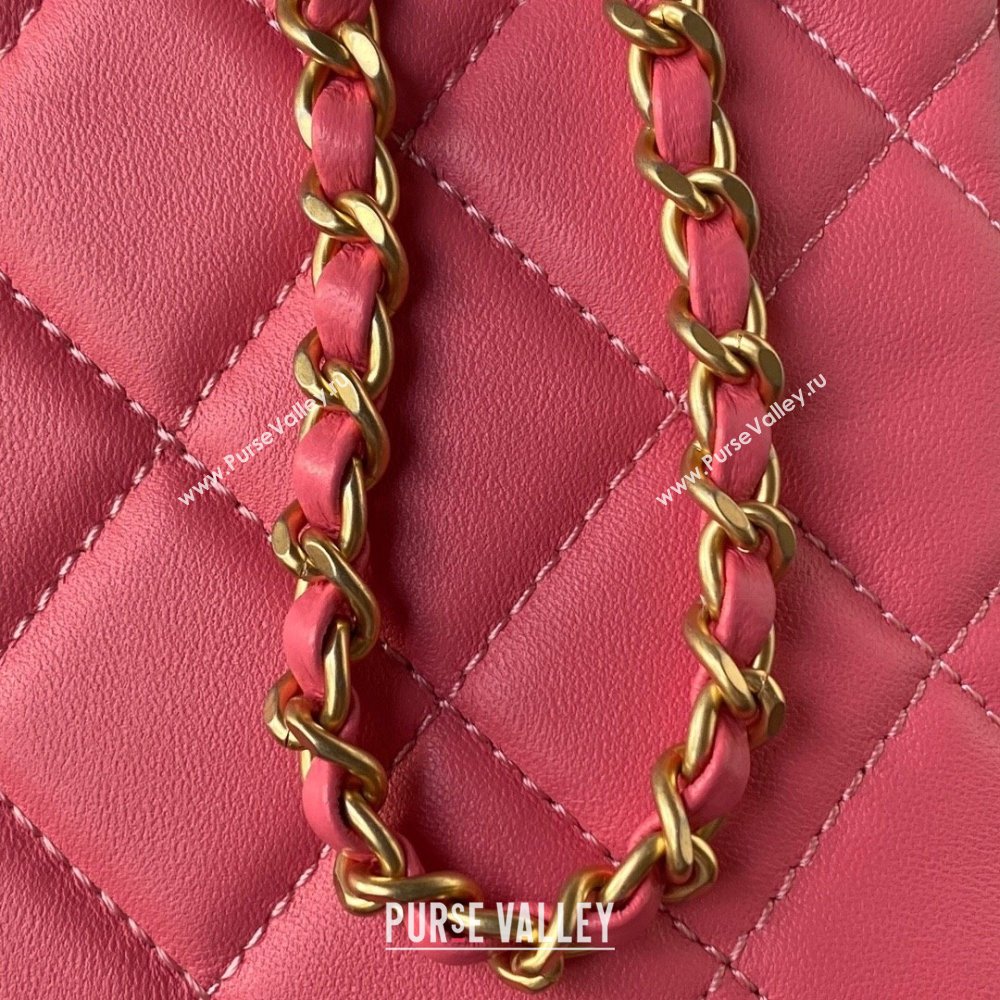 Chanel Bucket Lambskin Bag AS4596 Pink 2023 (yezi-231127031)