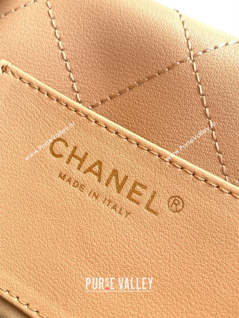 Chanel Calfskin Leather Hobo Handbag Khaki 2025 AS5976 (yezi-251127097)