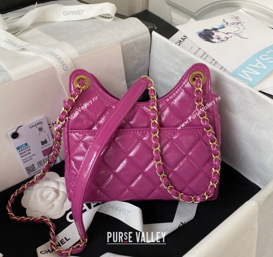 Chanel Shiny Crumpled Calfskin Small Hobo Bag AS4323 Purple 2023 (yezi-230907015)