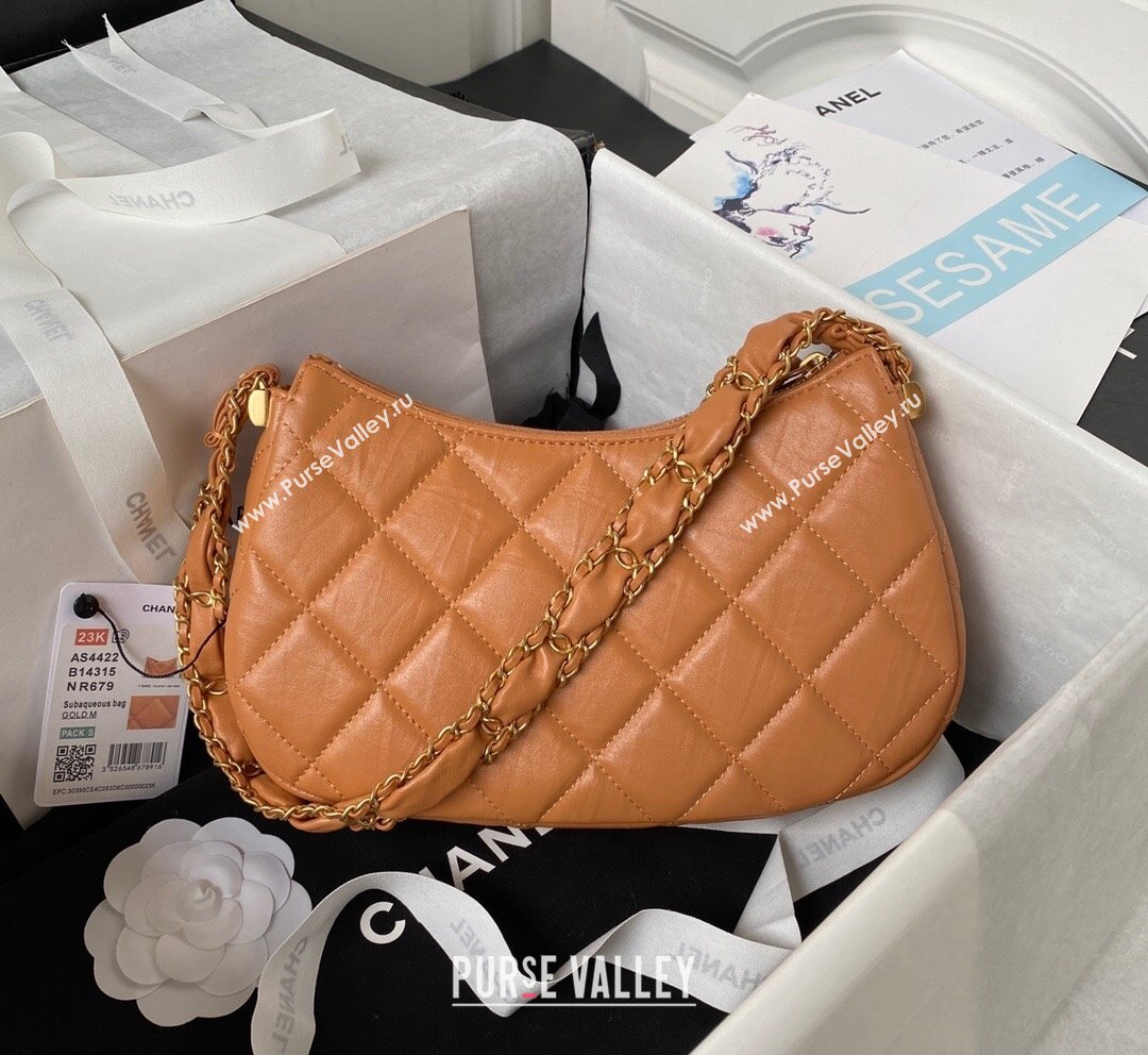 Chanel Aged Calfskin Hobo Bag AS4422 Brown 2023 (yezi-231020036)