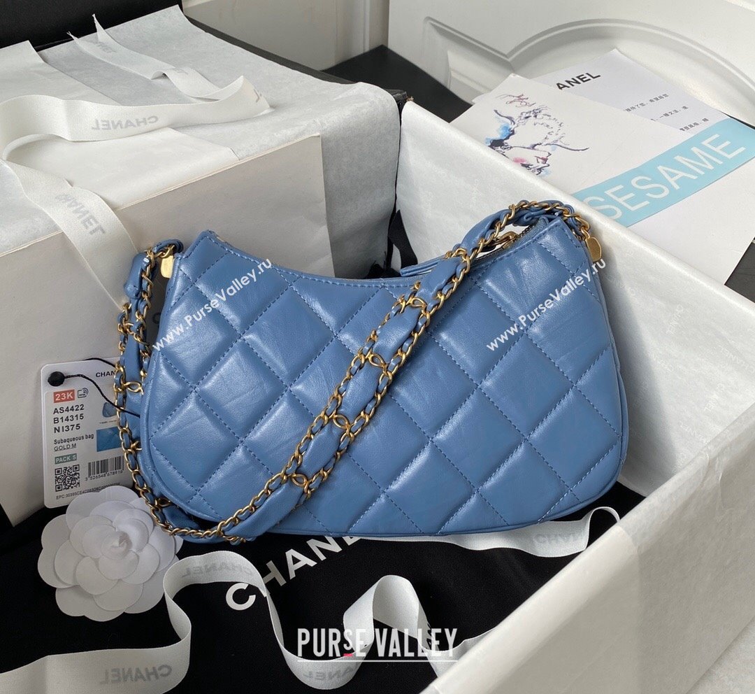 Chanel Aged Calfskin Hobo Bag AS4422 Blue 2023 (yezi-231020037)