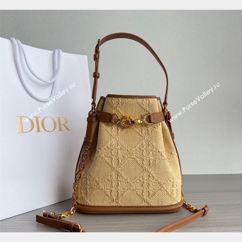 Dior Medium CEST Bucket Bag in Beige CD-Embossed Straw 2023 (XXG-231021048)