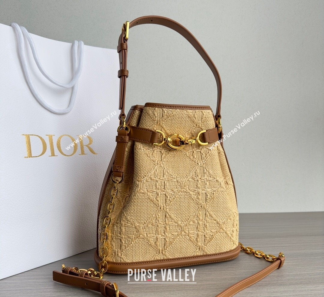 Dior Medium CEST Bucket Bag in Beige CD-Embossed Straw 2023 (XXG-231021048)