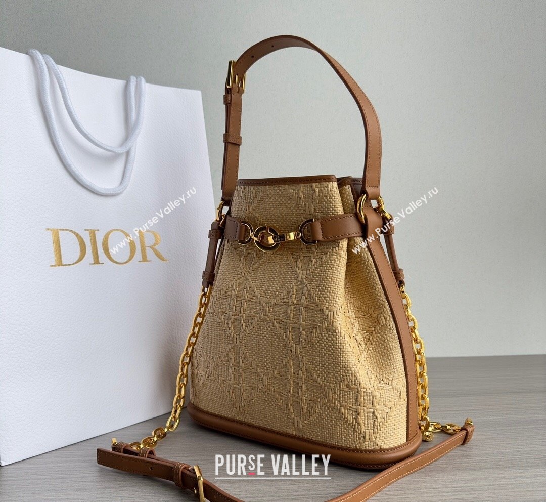 Dior Medium CEST Bucket Bag in Beige CD-Embossed Straw 2023 (XXG-231021048)