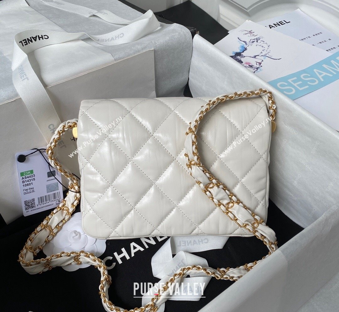 Chanel 19 Aged Calfskin Flap Bag AS4423 White 2023 (yezi-231007010)