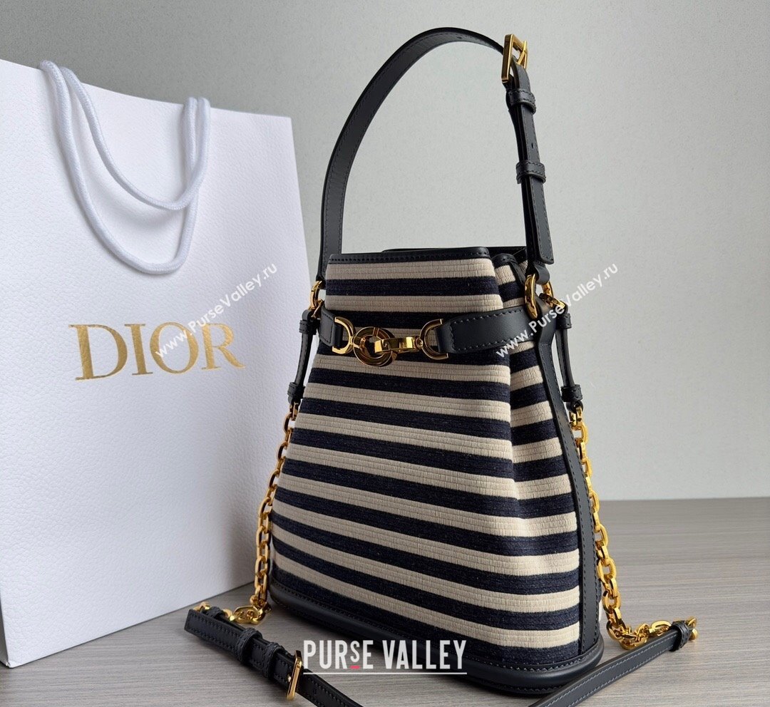 Dior Medium CEST Bucket Bag in CD-Embossed Striped Fabric 2023 (XXG-231021049)