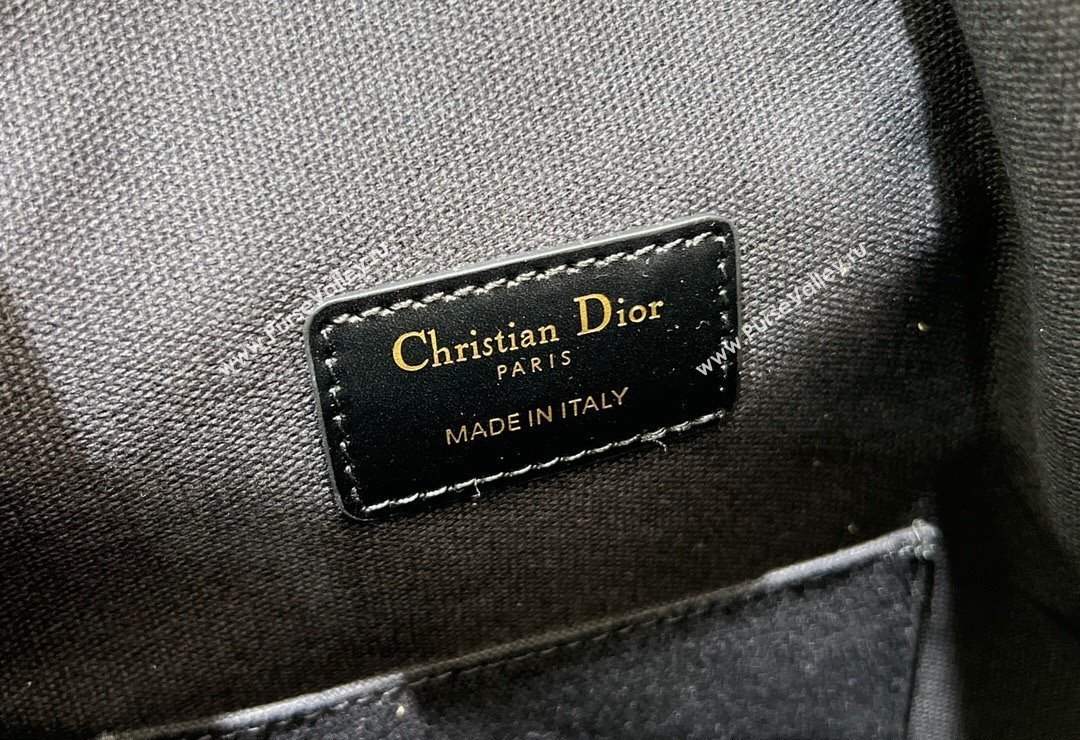 Dior Medium CEST Bucket Bag in Black and White Houndstooth Embroidery 2023 2271 (BF-231115012)