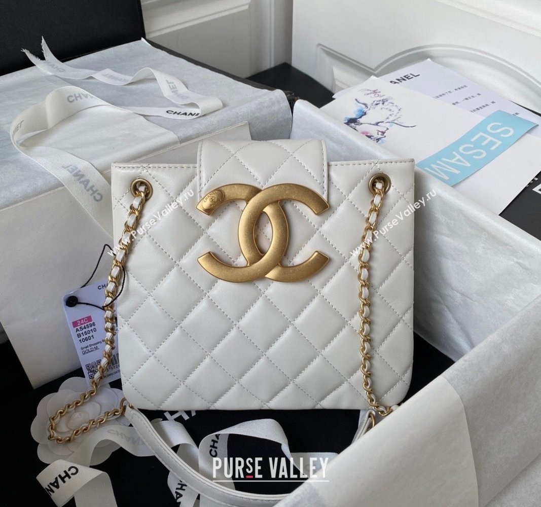 Chanel Bucket Lambskin Bag AS4596 White 2023 (yezi-231127028)