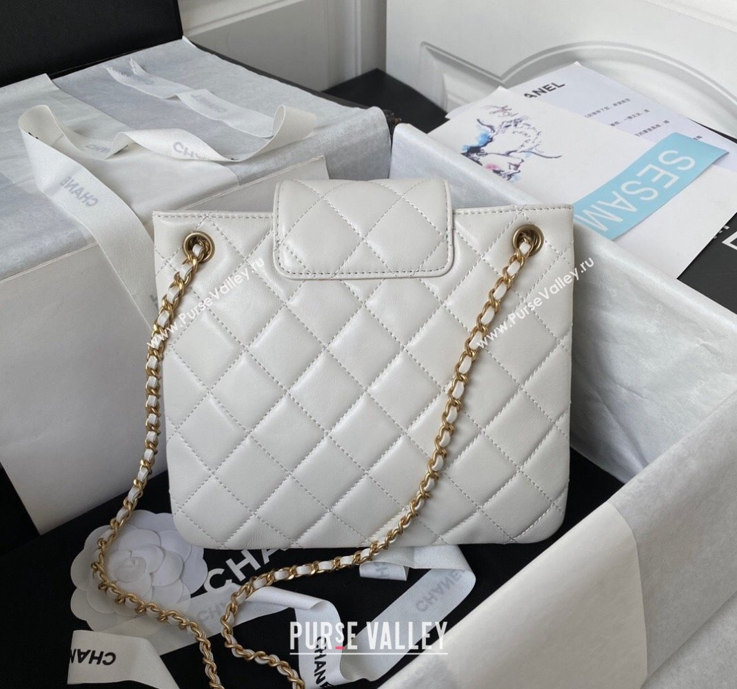 Chanel Bucket Lambskin Bag AS4596 White 2023 (yezi-231127028)