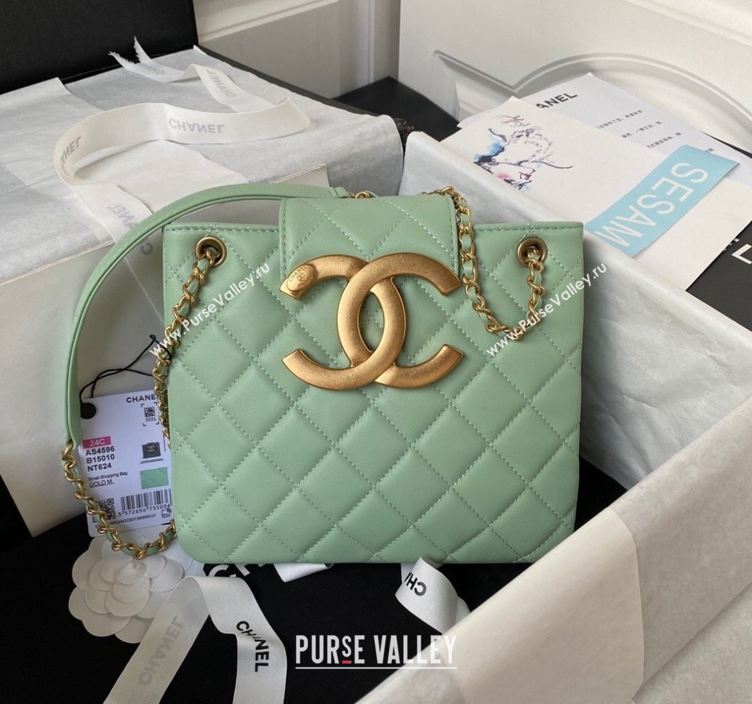 Chanel Bucket Lambskin Bag AS4596 Light Green 2023 (yezi-231127029)