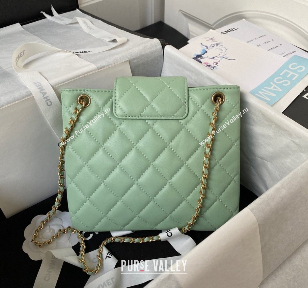 Chanel Bucket Lambskin Bag AS4596 Light Green 2023 (yezi-231127029)