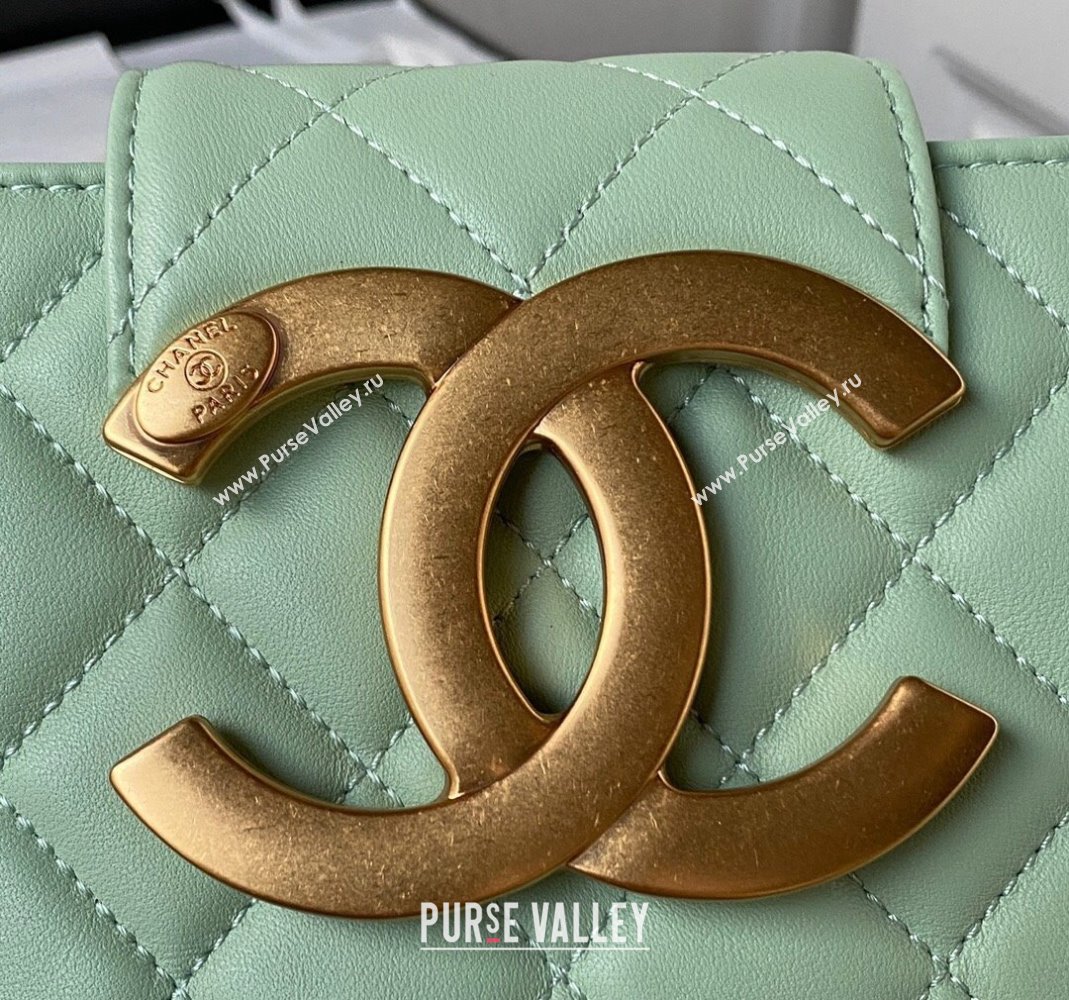 Chanel Bucket Lambskin Bag AS4596 Light Green 2023 (yezi-231127029)