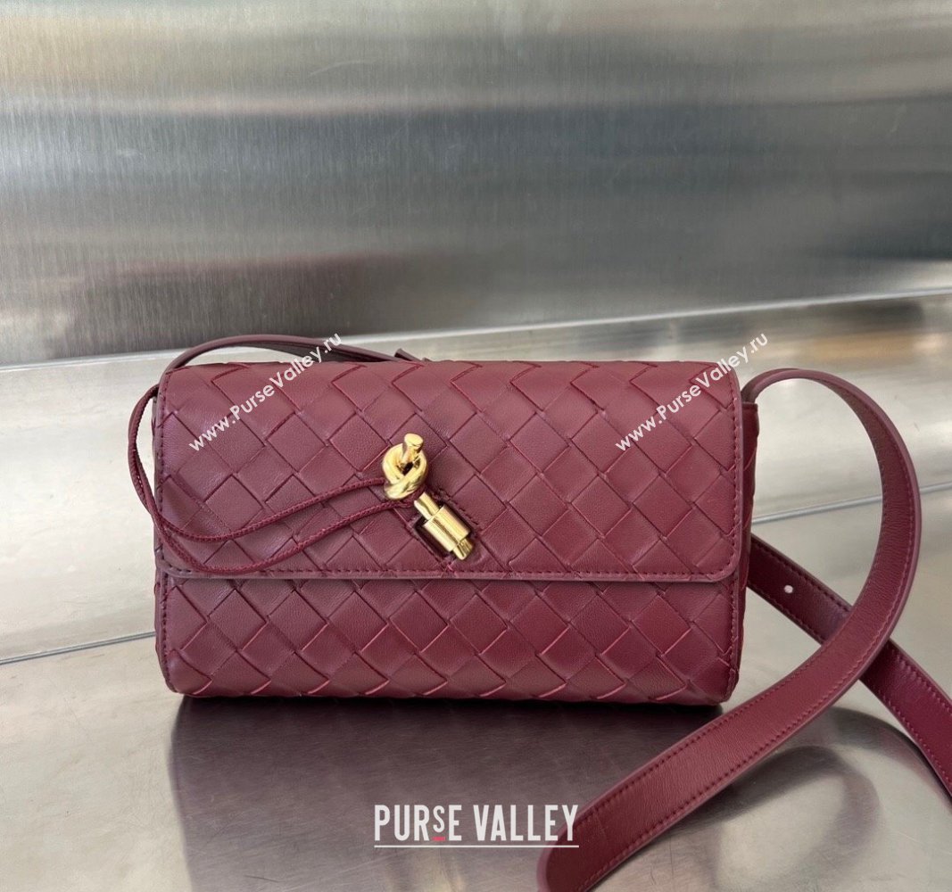 Bottega Veneta Mini Andiamo Cross-Body Bag in Intrecciato Leather Barolo Red 2023 755545 (WT-231130032)