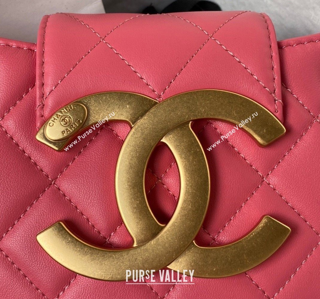 Chanel Lambskin Small Messenger Bag AS4609 Peachy Pink 2023 (yezi-231127015)