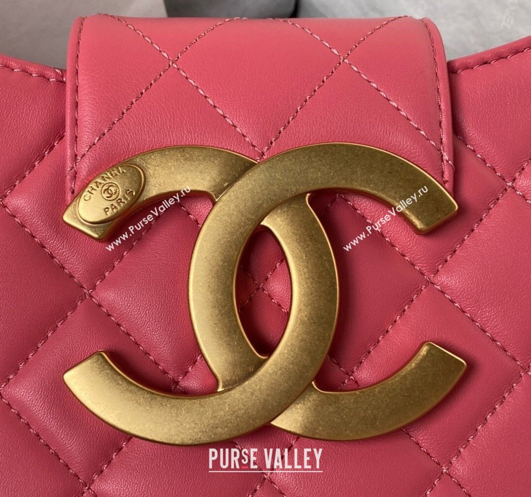 Chanel Lambskin Medium Messenger Bag AS4610 Peachy Pink 2023 (yezi-231127019)