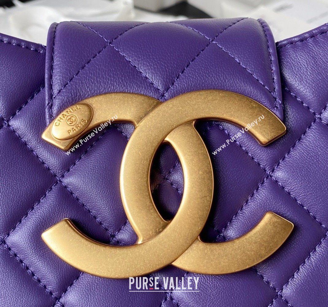 Chanel Lambskin Medium Messenger Bag AS4610 Purple 2023 (yezi-231127020)