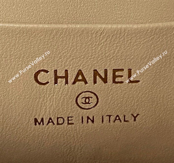 Chanel Grained Calfskin Mini Backpack Bag with Chain AP3573 Apricot 2023 (yezi-231208001)