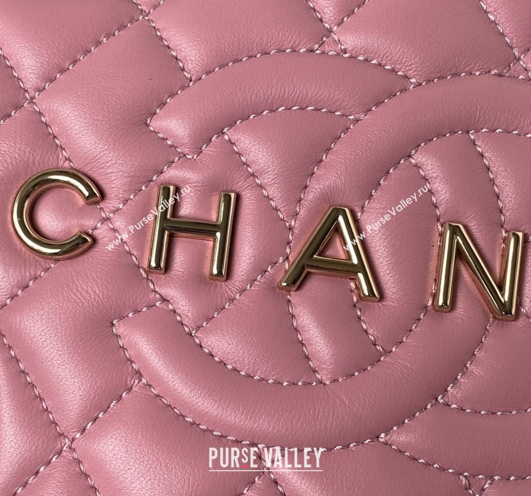 Chanel Lambskin Star Handbag AS4579 Light Pink Leather 2023 (yezi-231208005)